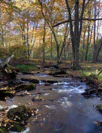 Filtering Water Purifying Water Water